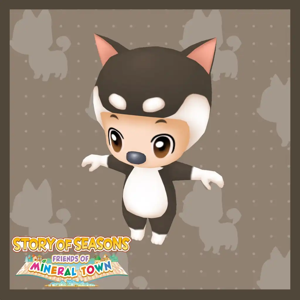 Add-on Image