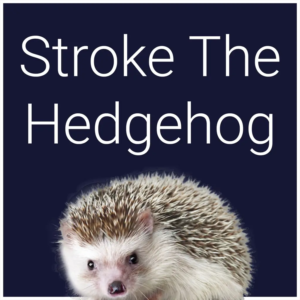 Stroke The Hedgehog — цена PS4/PS5 в Узбекистане