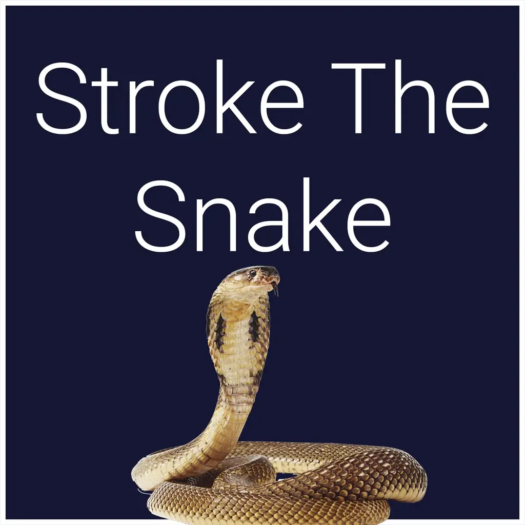 Stroke The Snake — цена PS4/PS5 в Узбекистане