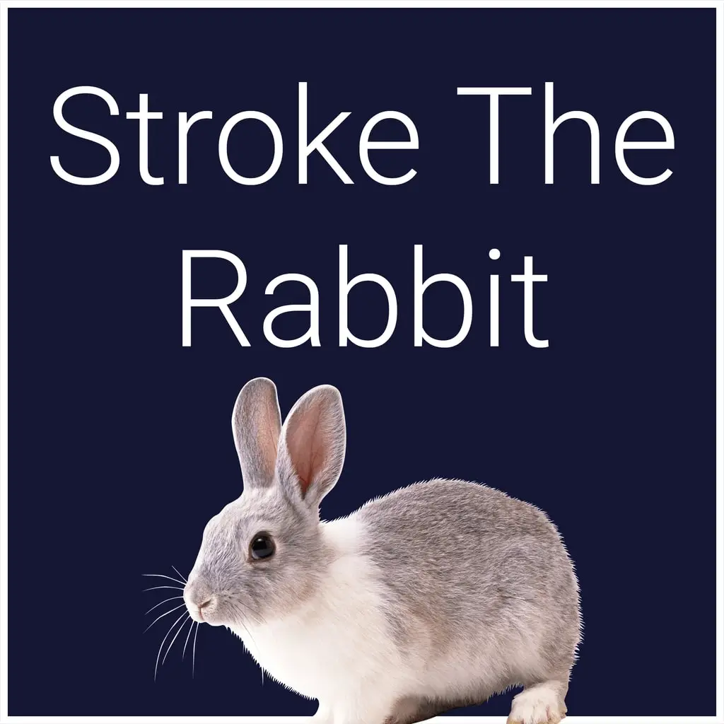 Stroke The Rabbit — PS4/PS5 narxi Oʻzbekistonda