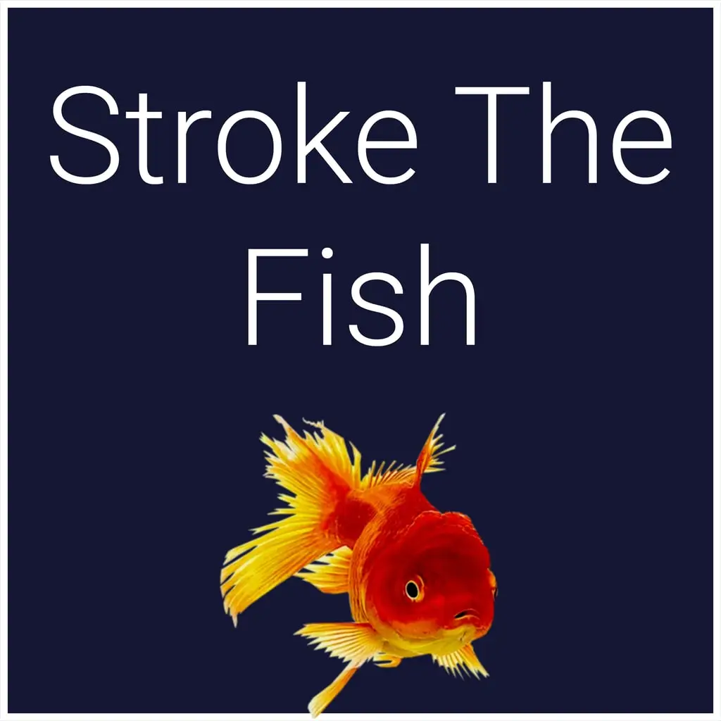 Stroke The Fish — цена PS4/PS5 в Узбекистане
