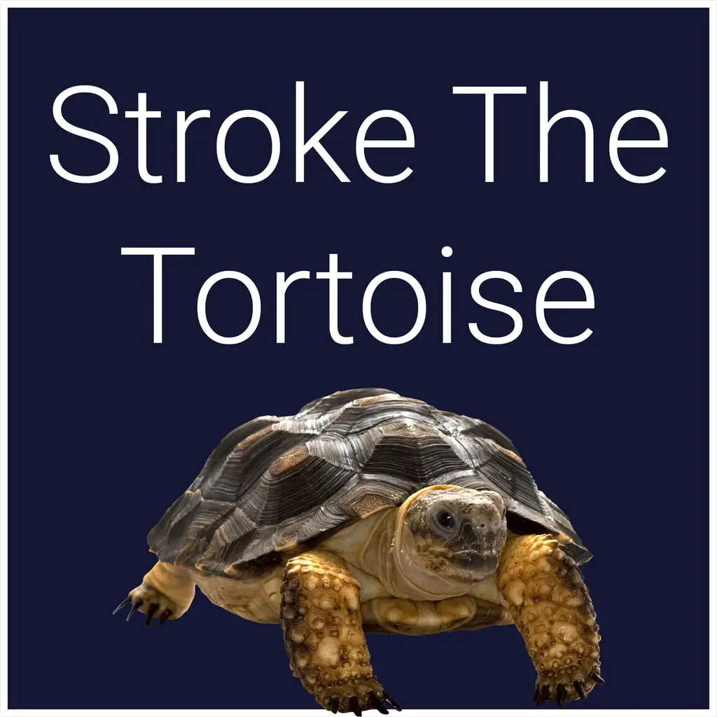 Stroke The Tortoise — цена PS4/PS5 в Узбекистане