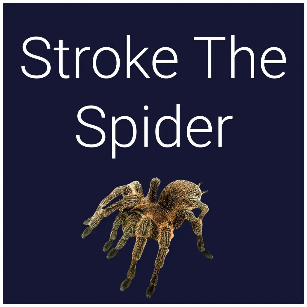 Stroke The Spider — PS4/PS5 narxi Oʻzbekistonda