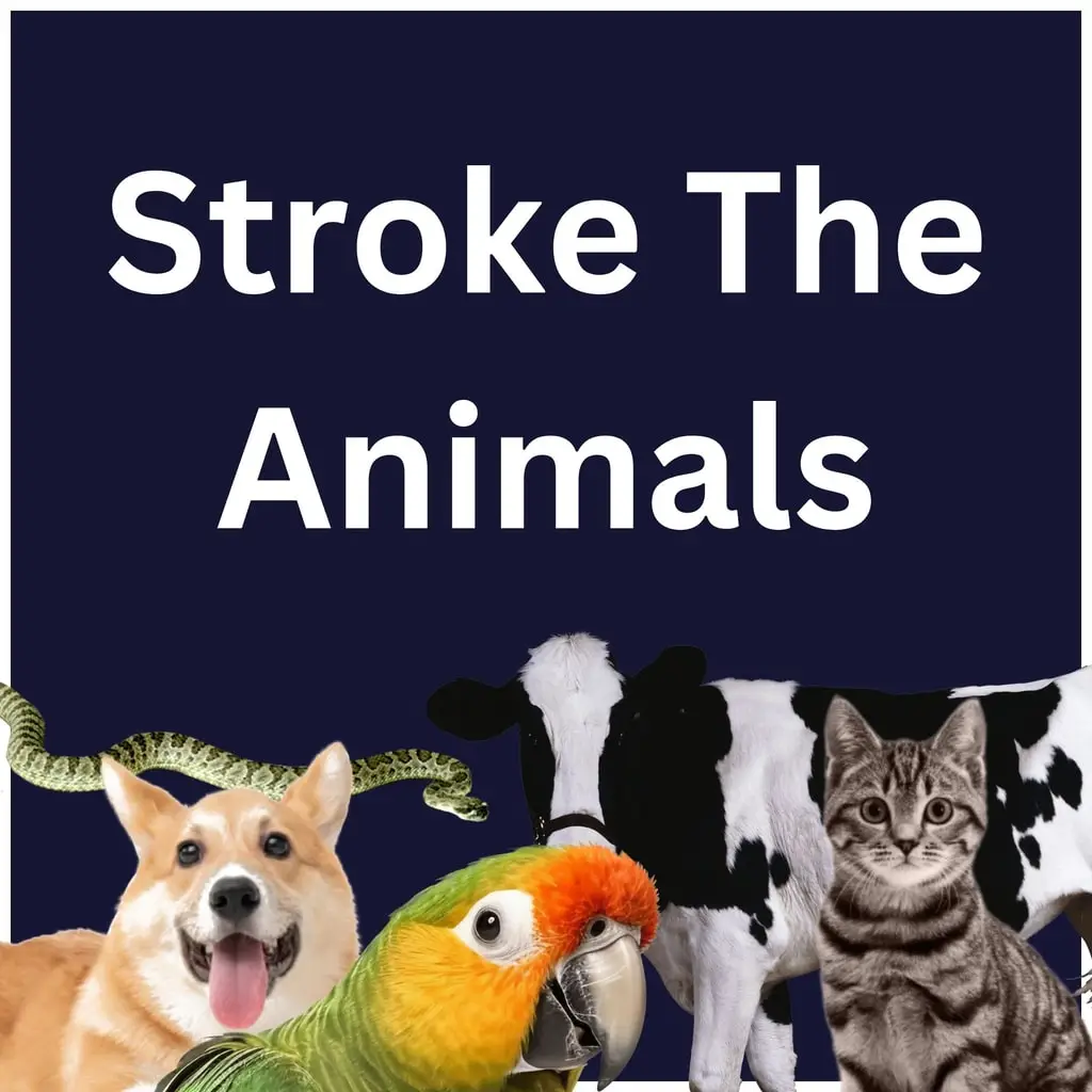 Stroke The Animals — цена PS4/PS5 в Узбекистане