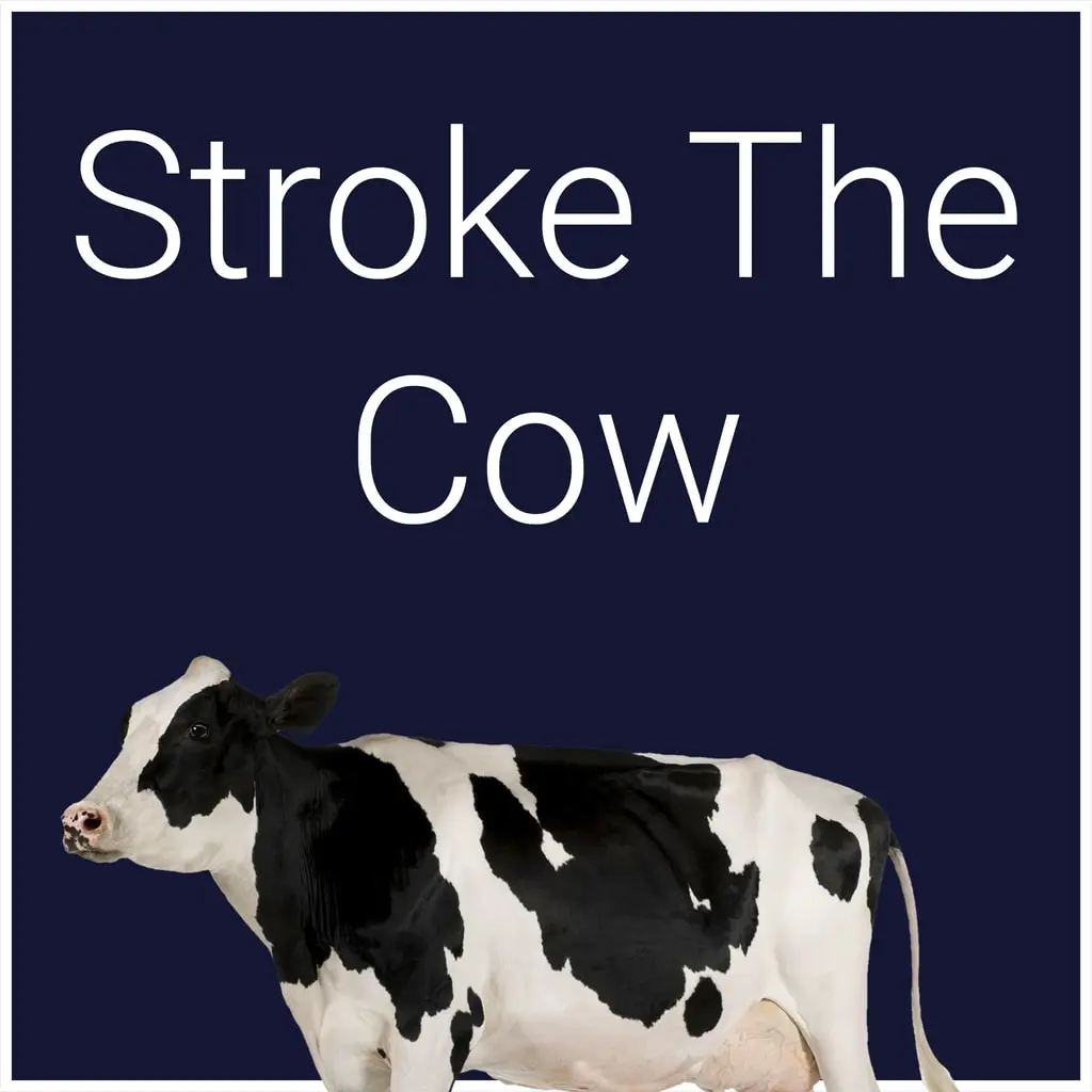 Stroke The Cow — цена PS4/PS5 в Узбекистане