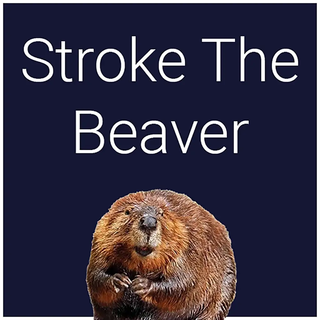 Stroke The Beaver — цена PS4/PS5 в Узбекистане