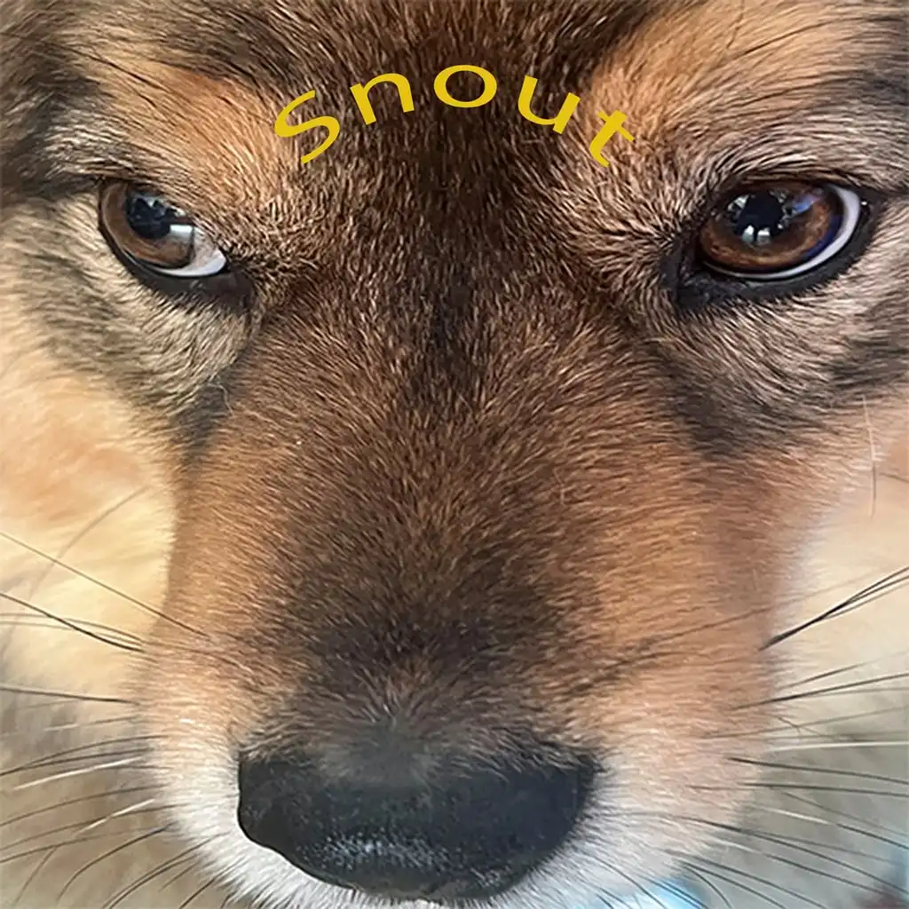Snoot Booper — цена PS4/PS5 в Узбекистане