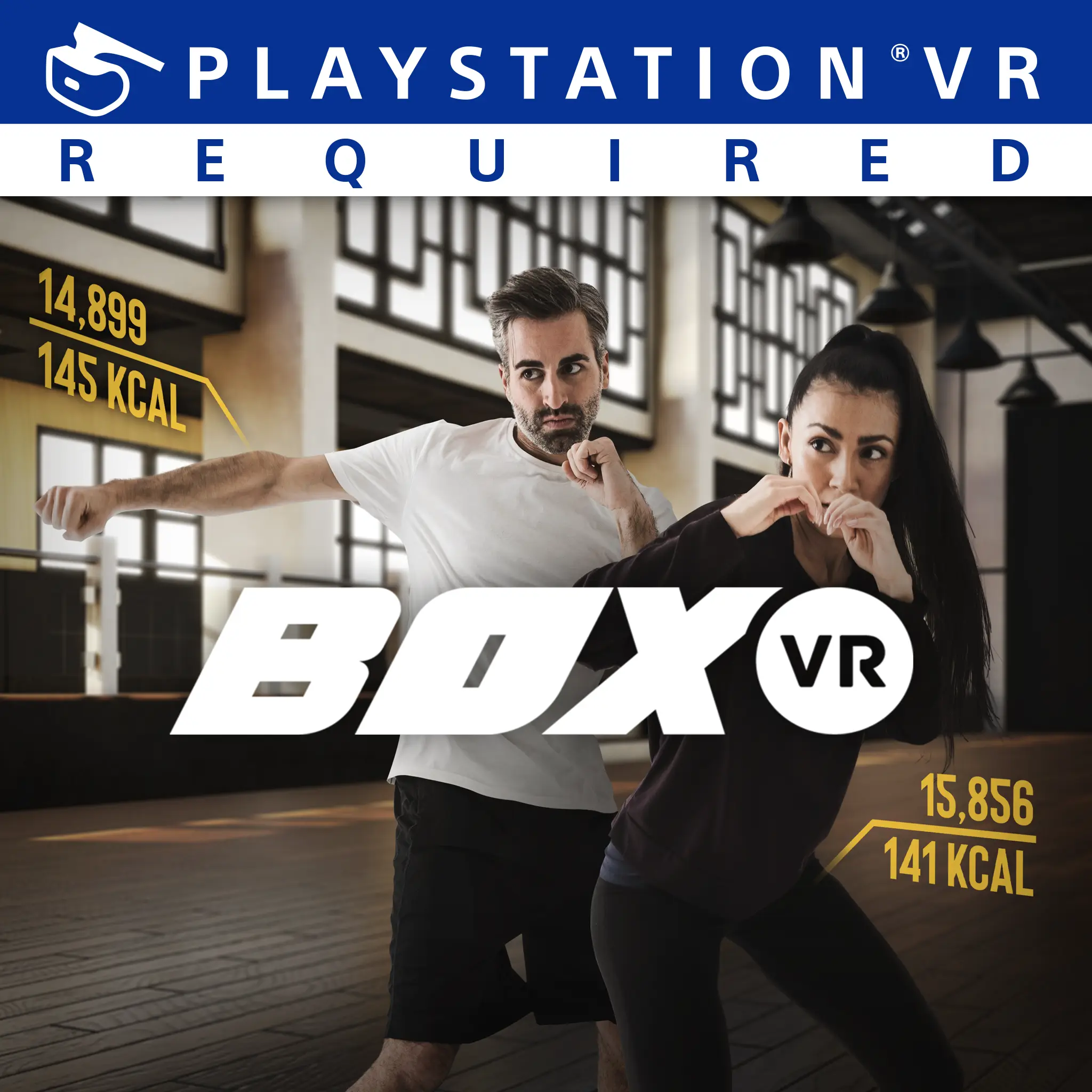 BoxVR — PS4/PS5 narxi Oʻzbekistonda