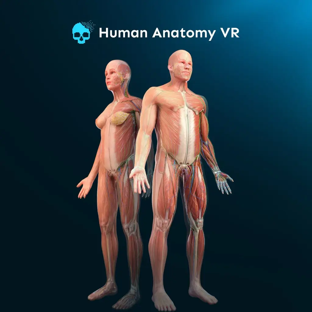 Human Anatomy VR — PS4/PS5 narxi Oʻzbekistonda